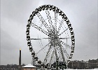 8243 TUILLERIES web